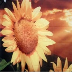 Tenture Murale Tournesol 10 Tenture Murale Tournesol -Magasin D'accessoires Sélectionnés 230x180cm grande tapisserie indienne mandala tenture murale tournesol floral boh me serviette de plage polyester mince 2