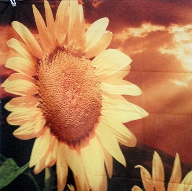 Tenture Murale Tournesol 5 Tenture Murale Tournesol – Image 3