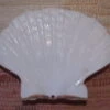 COQUILLE SAINT-JACQUES VIDE NATURELLE BRETONNE - 51g - 12 X 10.3 Cm 2 COQUILLE SAINT-JACQUES VIDE NATURELLE BRETONNE - 51g - 12 X 10.3 Cm -Magasin D'accessoires Sélectionnés coquille saint jacques vide onde de forme etoileharmonie radionique protection 8