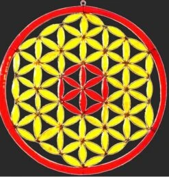 Fleur De Vie Attrape Soleil (peut Influencer Fortement Notre Humeur)