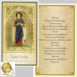 Image Pieuse Saint Louis Du 25 Août