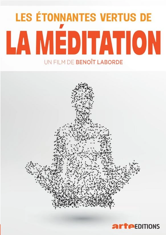 Les étonnantes Vertus De La Méditation - DVD - Benoît Laborde 3 Les étonnantes Vertus De La Méditation - DVD - Benoît Laborde