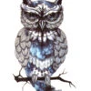 Hibou Tatouage -Magasin D'accessoires Sélectionnés hibou faux tatouage temporaire etoileharmonie